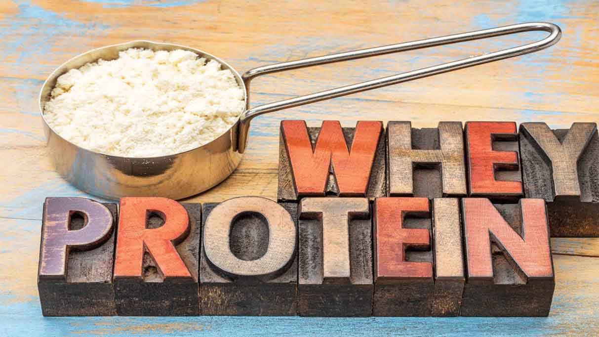 Why protein چیست؟